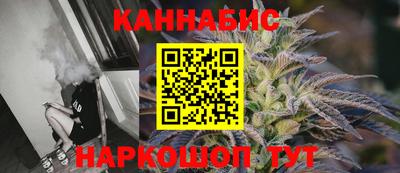 гашик Будённовск