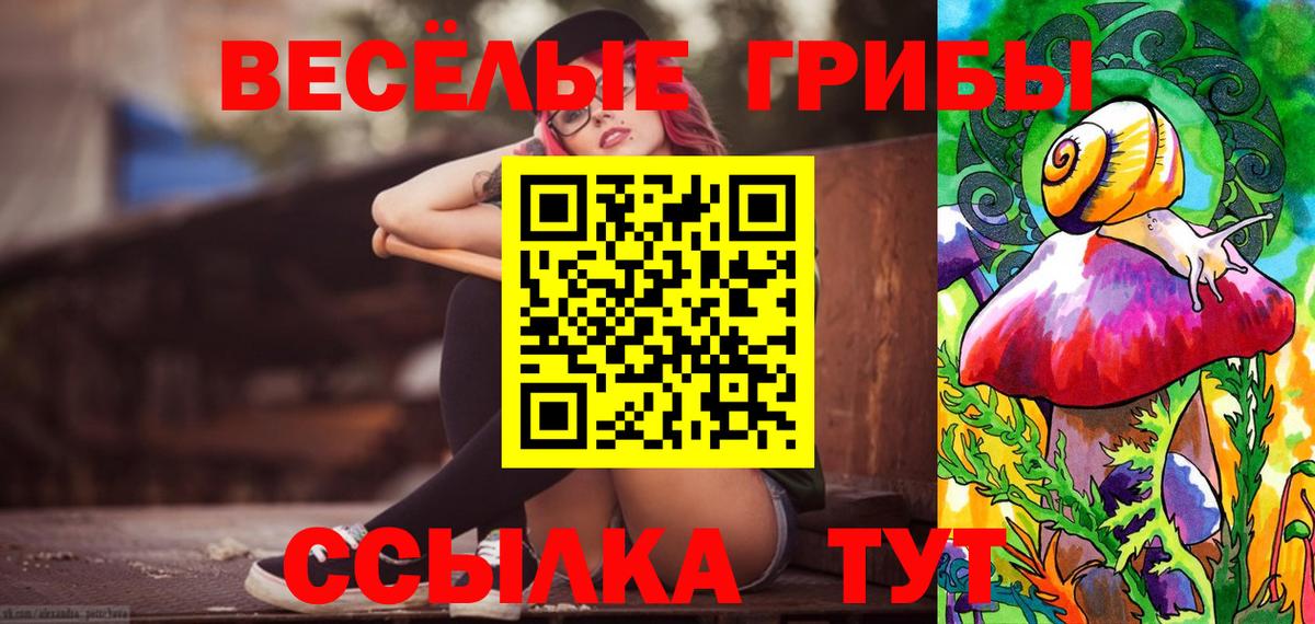Галлюциногенные грибы Cubensis Шебекино