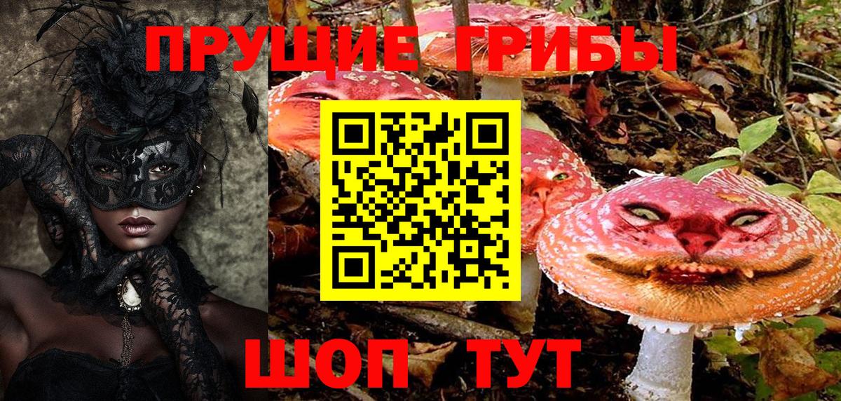 Псилоцибиновые грибы мухоморы  Вход с VPN  Псилоцибиновые грибы прущие грибы  Шебекино 
